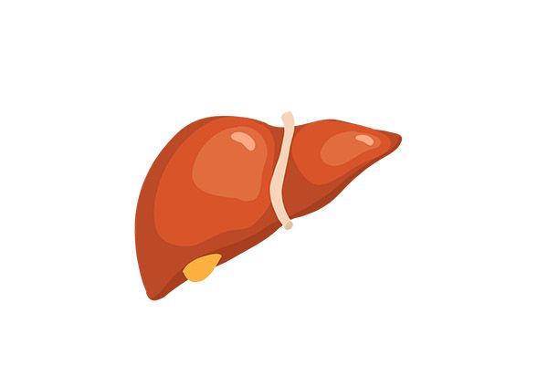 肝功能正常并不代表没有肝癌，苏州哪里中医治疗肝脏比较好？