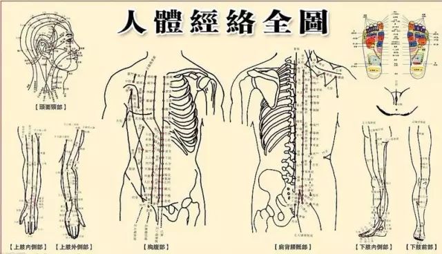 养生收藏：人体十二经络养生时间表(图1)