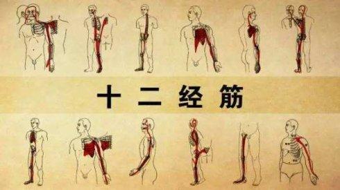 苏州国医堂：中医经络调理的作用和注意事项(图1)