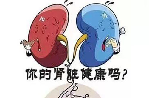 苏州国医堂孙嗣章：如何科学养护肾功能健康(图1)