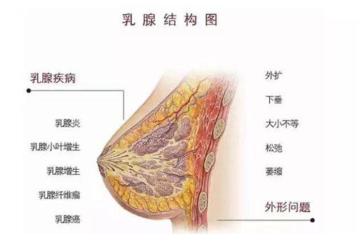 苏州国医堂张禾：中医辨证施治乳腺疾病(图1)