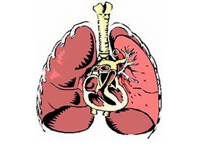 肺气肿患者应当注意些什么?苏州看肺气肿的中医去哪找?(图1)