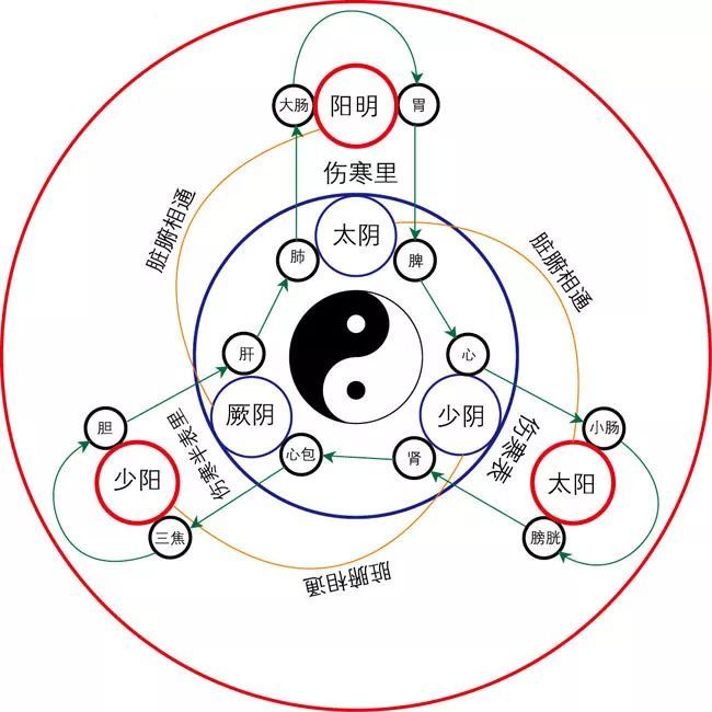 苏州调理经络的中医哪里好(图1)