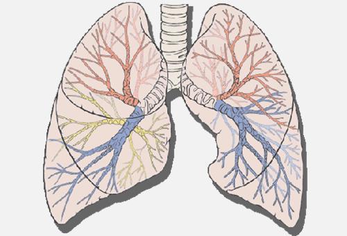 肺气肿在苏州哪家医院治疗会比较好？